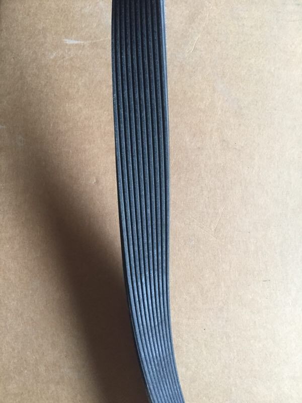 V-ribbed belt 01183379