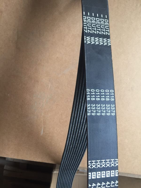 V-ribbed belt 01183379