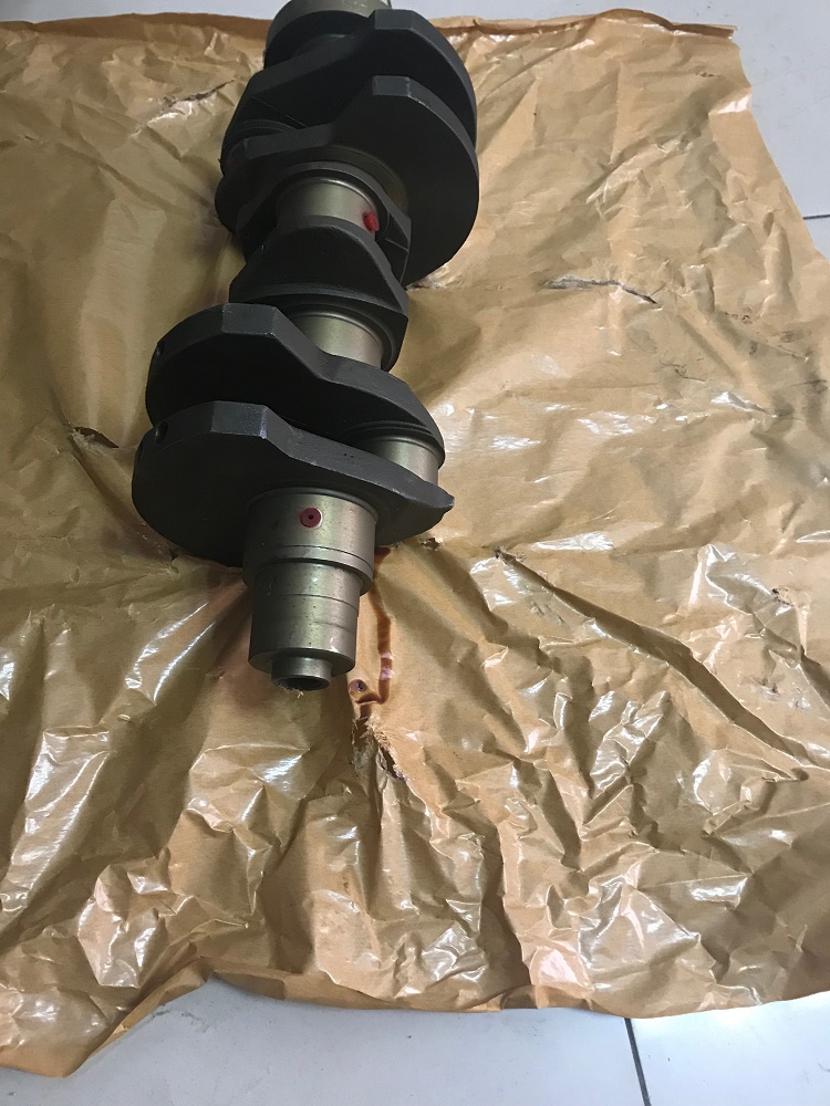 Crankshaft 02928289