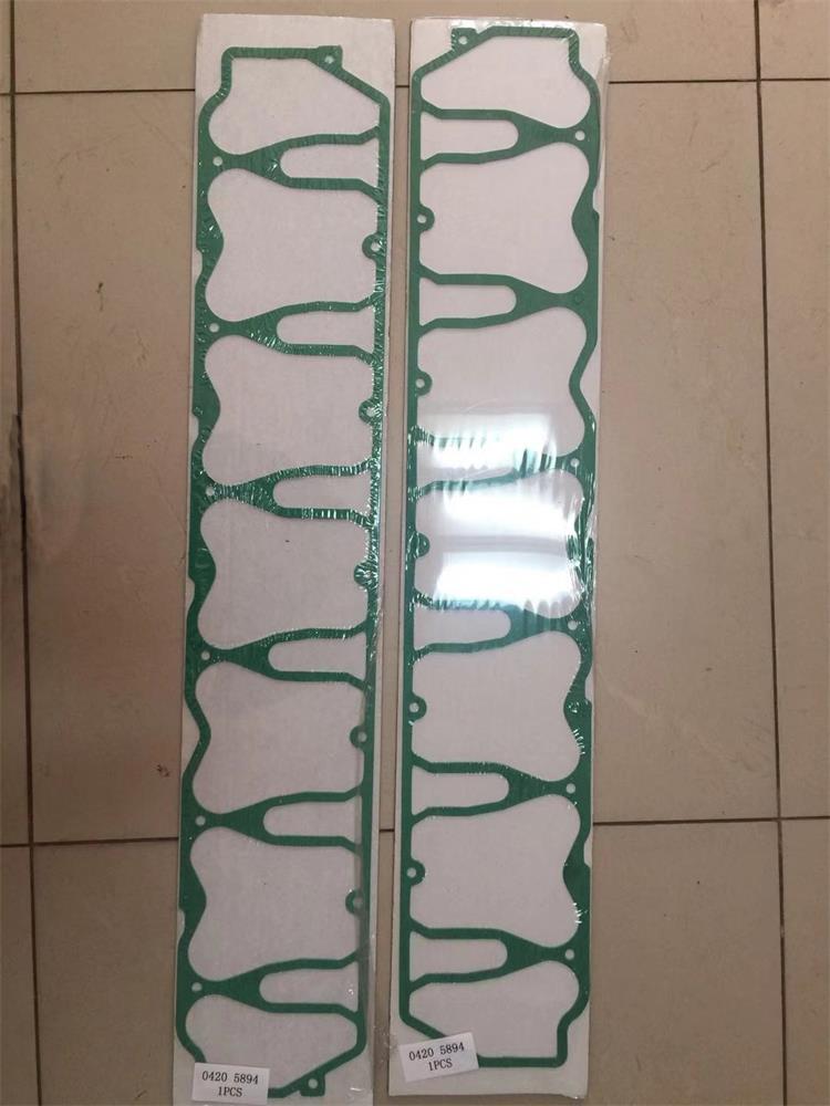 Valve head gasket 04205894