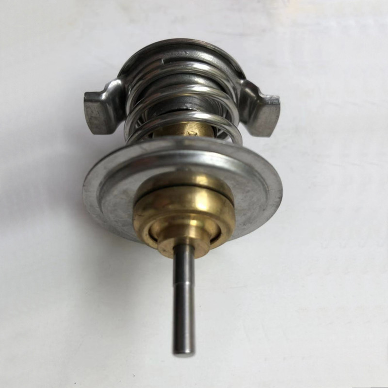 Thermostat 04204796