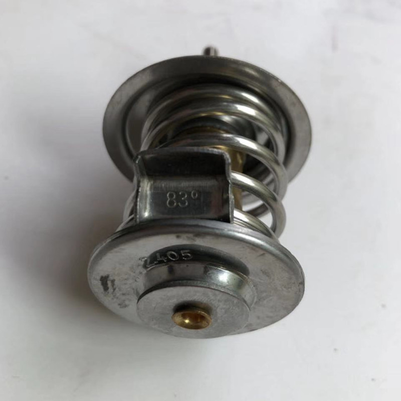 Thermostat 04204796
