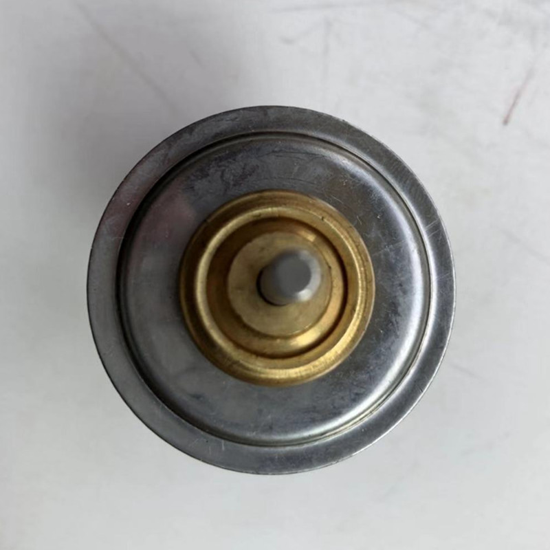 Thermostat 04204796