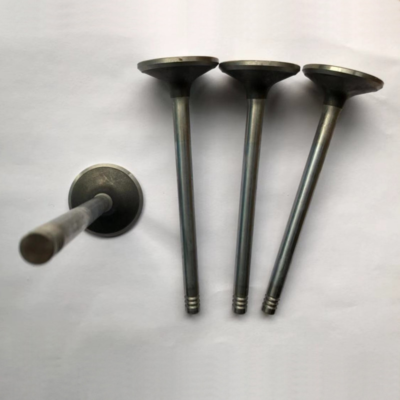 Exhaust valve 04159139