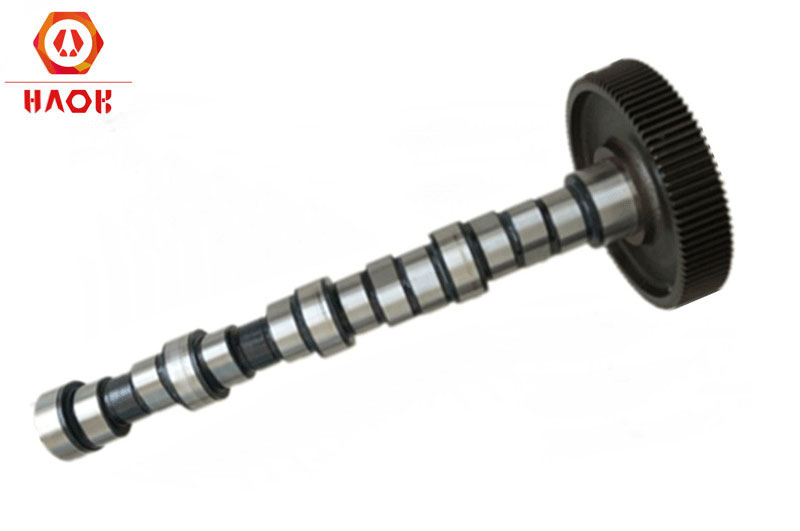 TCD2013 camshaft