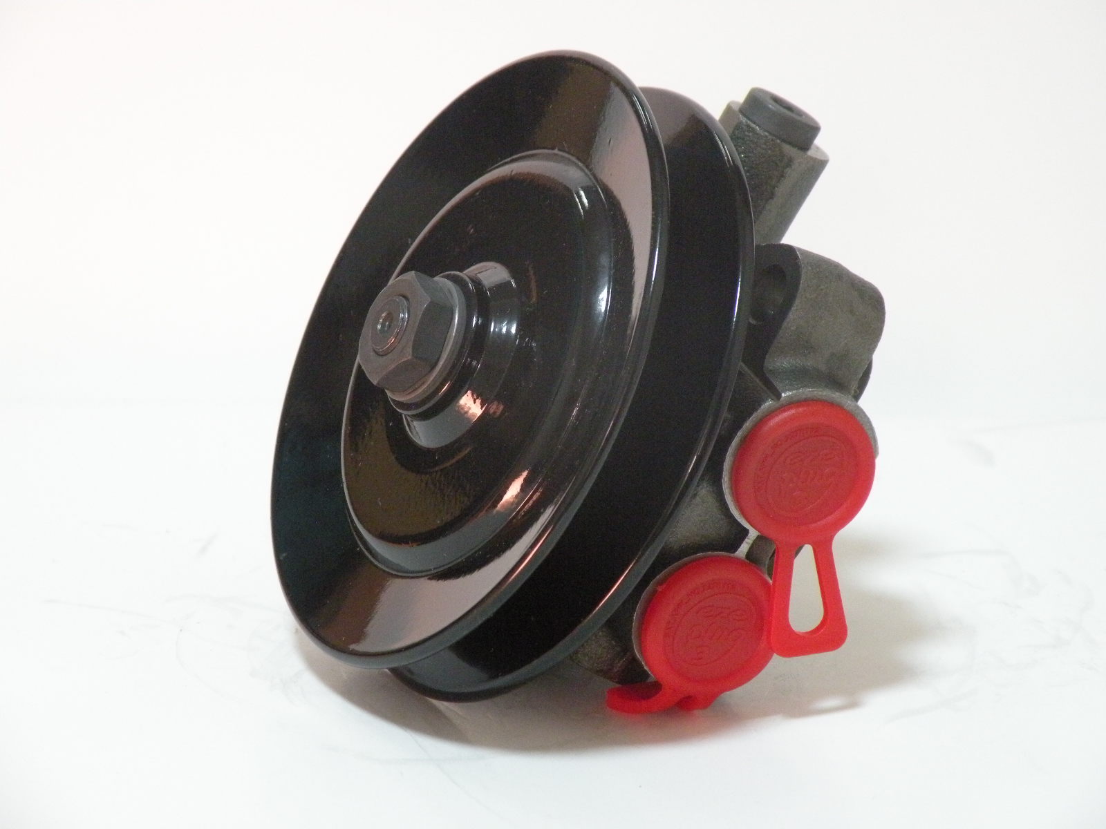 Fuel Supply Pump 20121484