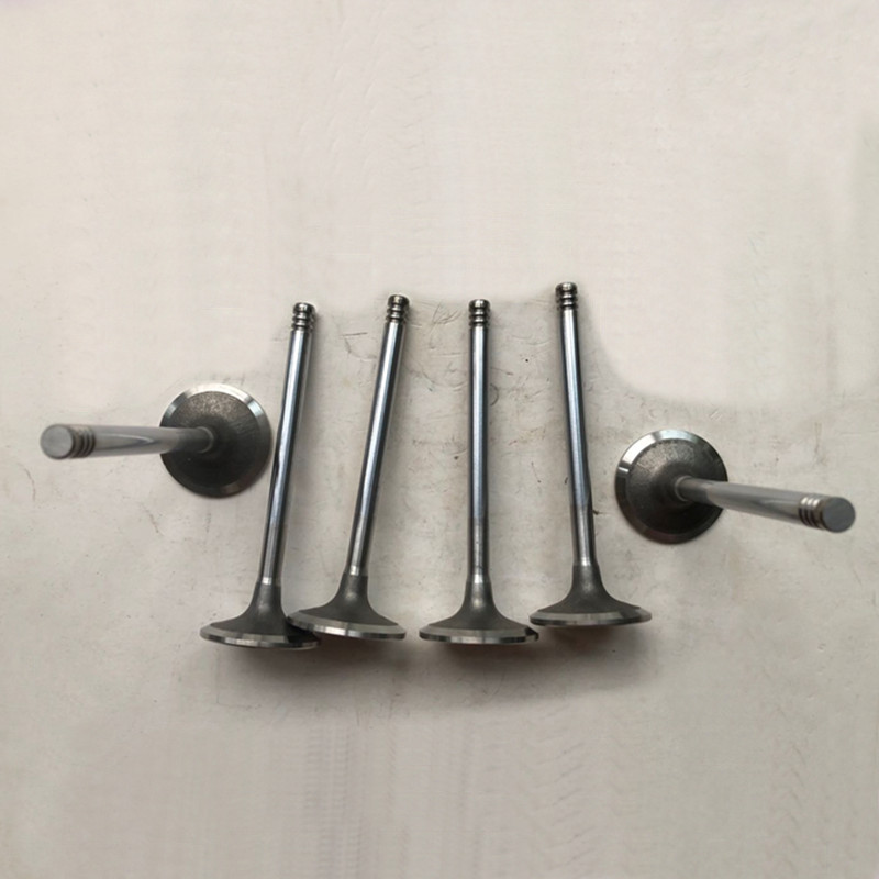 Inlet Valve 04284042